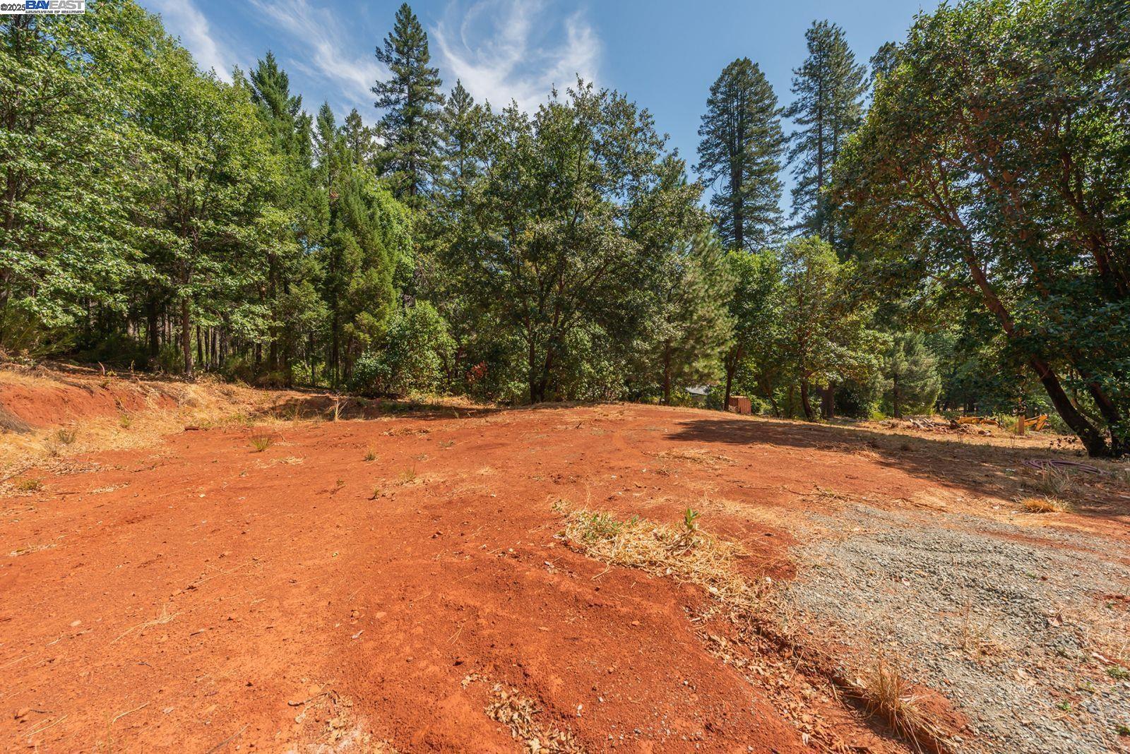 171 Connor Creek Rd, Junction City CA 96048 — photo 15