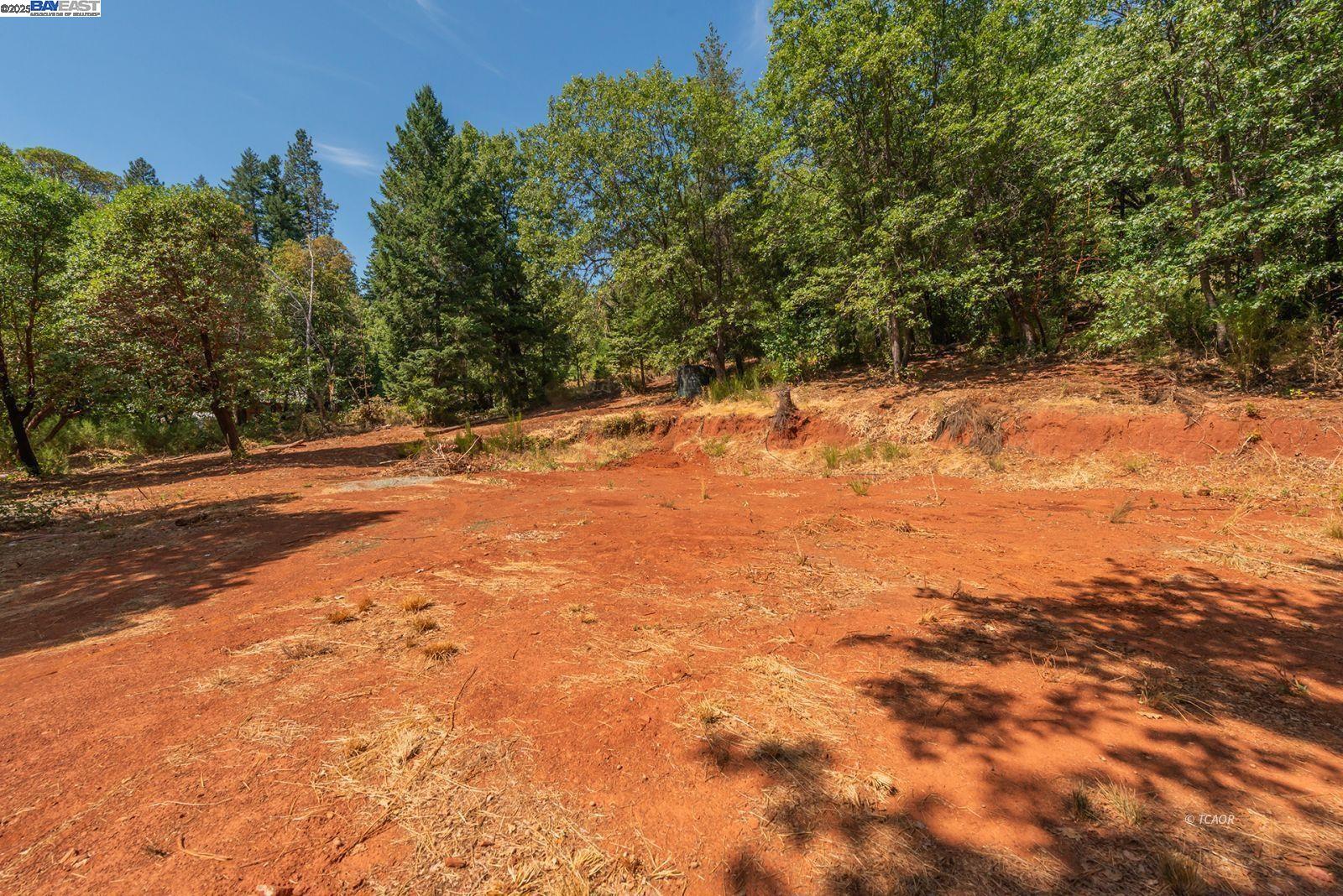 171 Connor Creek Rd, Junction City CA 96048 — photo 17