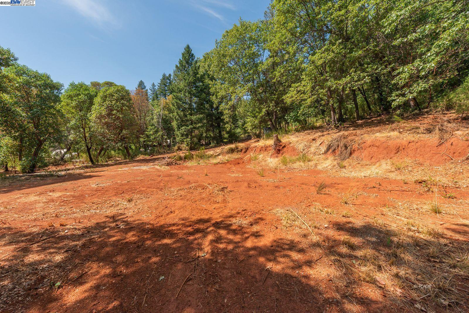 171 Connor Creek Rd, Junction City CA 96048 — photo 18