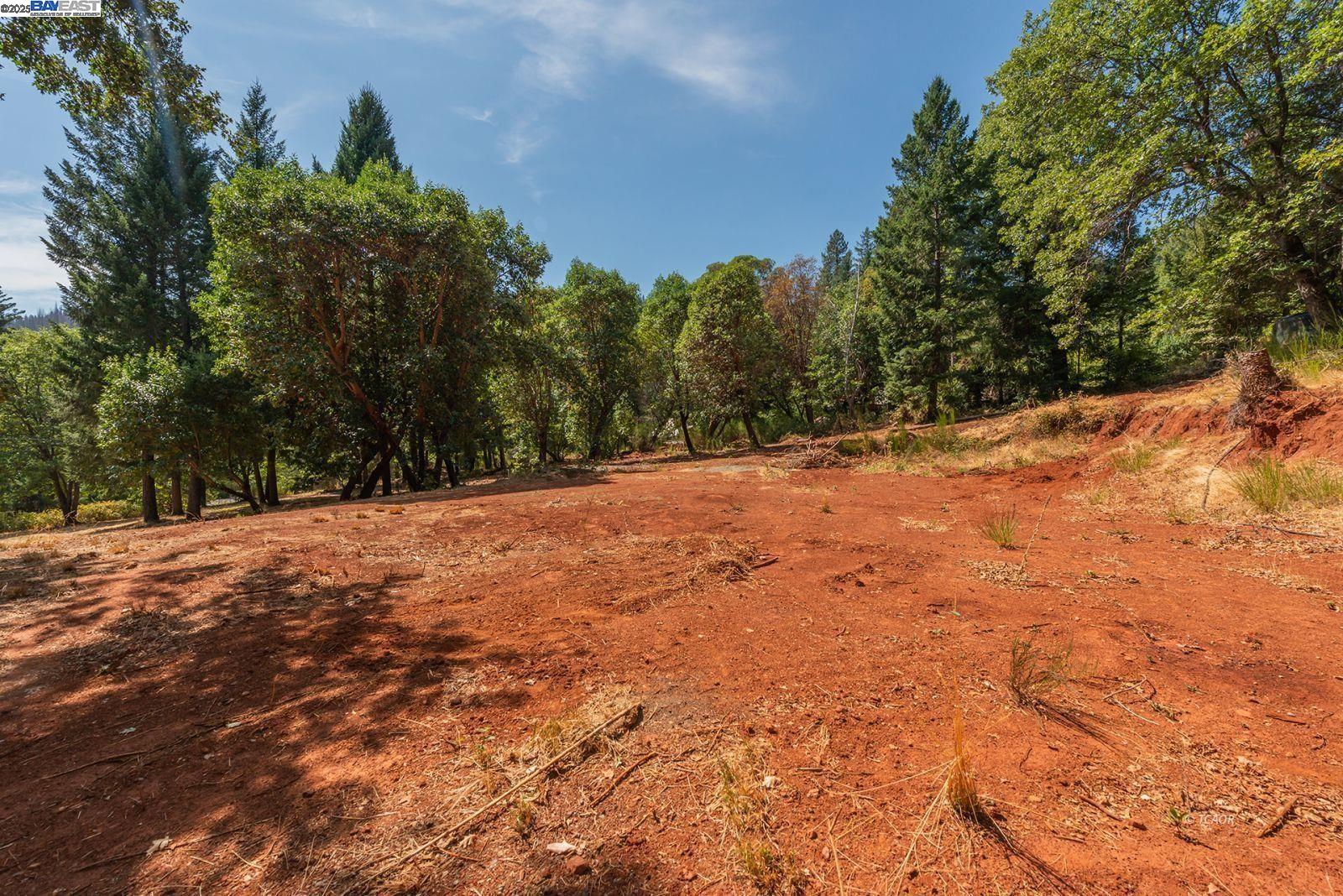 171 Connor Creek Rd, Junction City CA 96048 — photo 19
