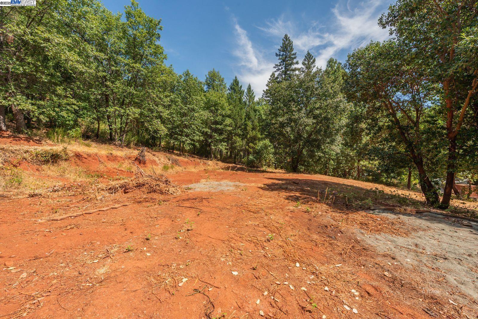 171 Connor Creek Rd, Junction City CA 96048 — photo 3