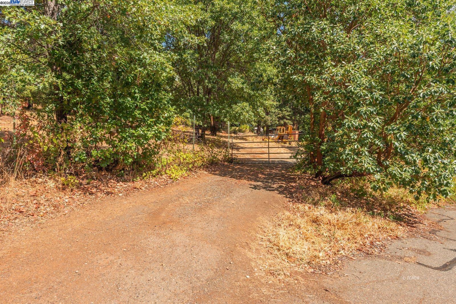 171 Connor Creek Rd, Junction City CA 96048 — photo 4