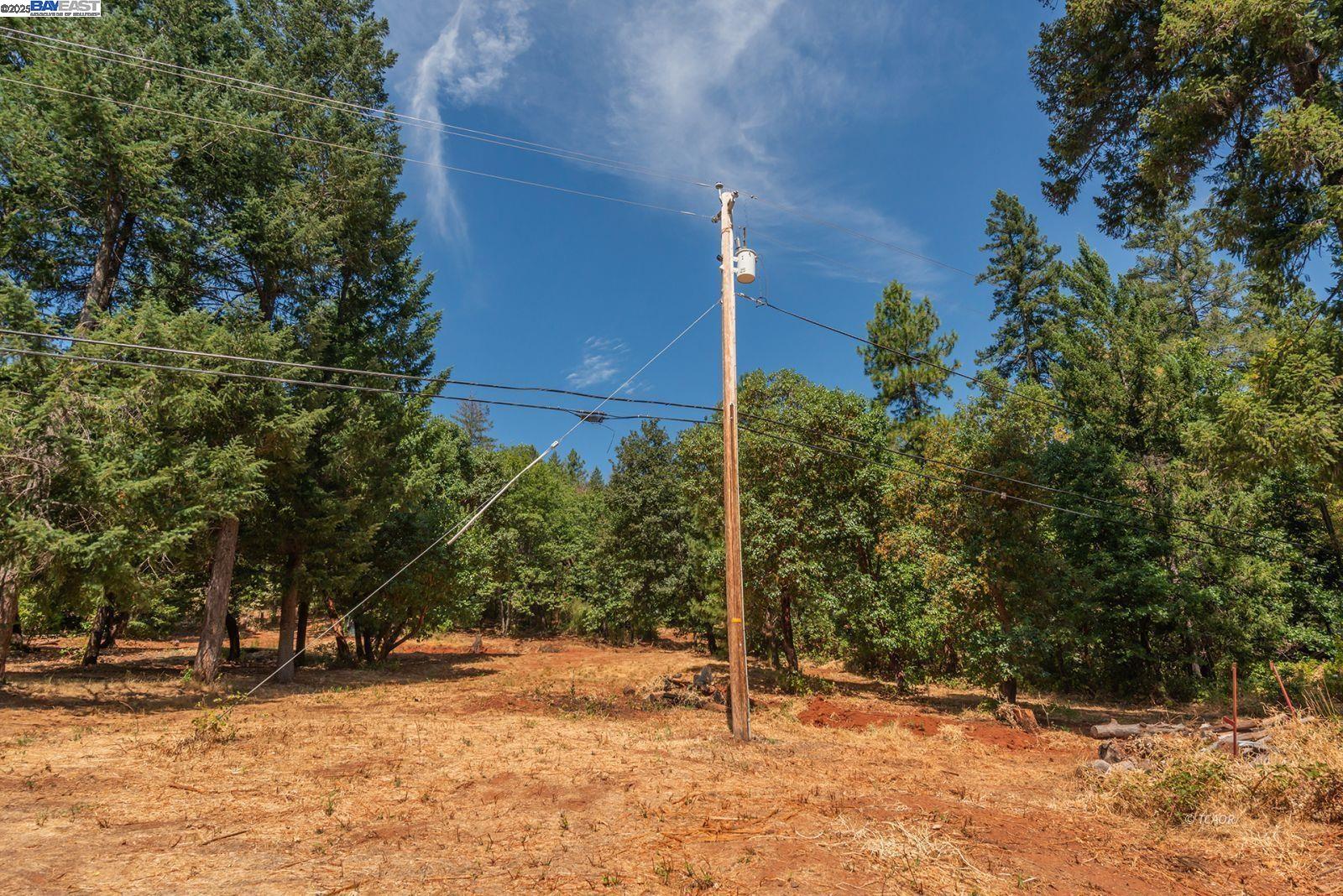 171 Connor Creek Rd, Junction City CA 96048 — photo 7