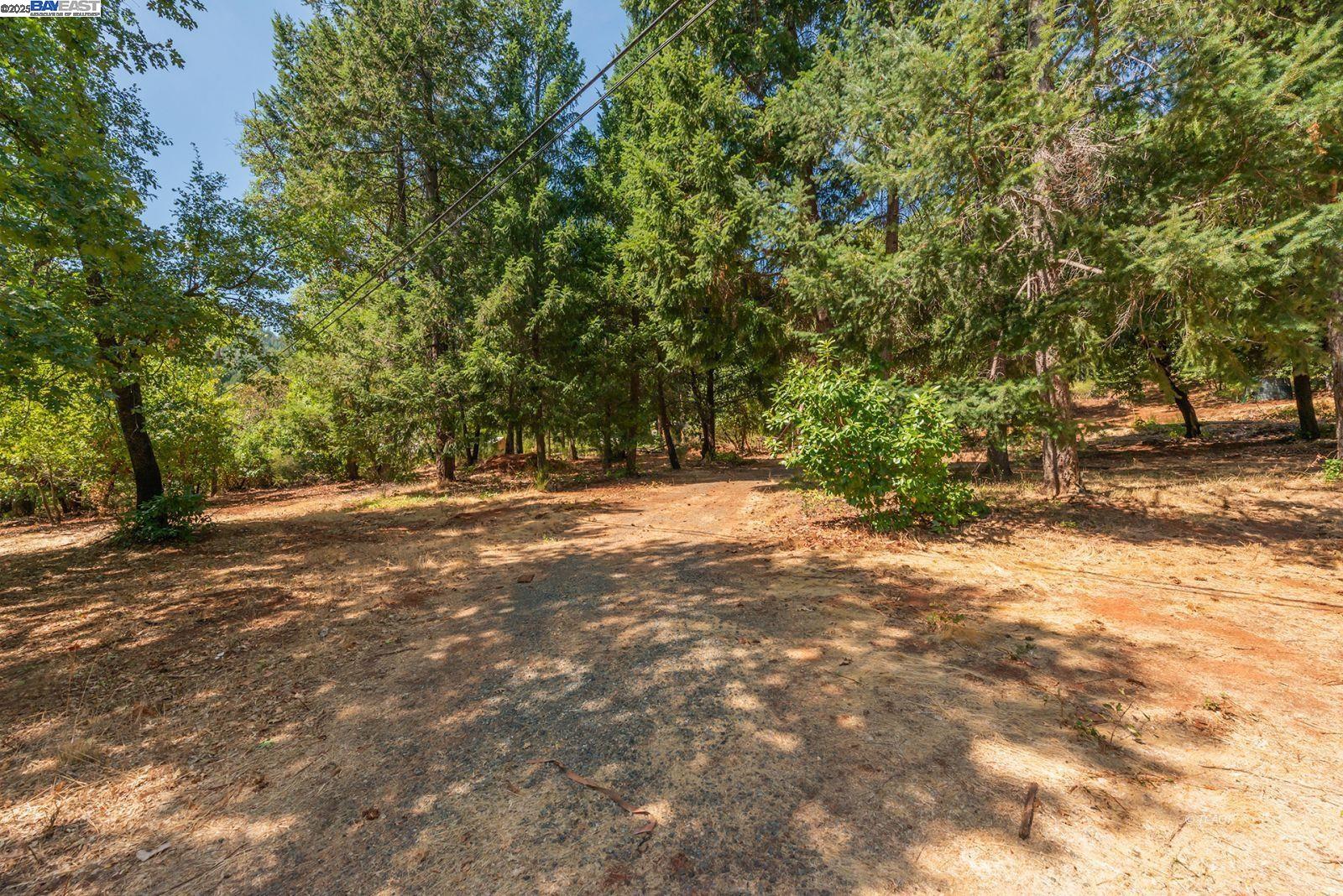 171 Connor Creek Rd, Junction City CA 96048 — photo 8