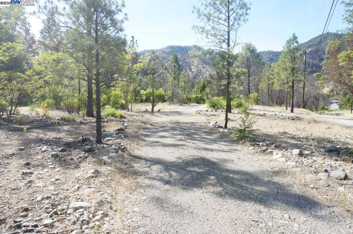 101 River Acres, Junction City CA 96048 — photo 2