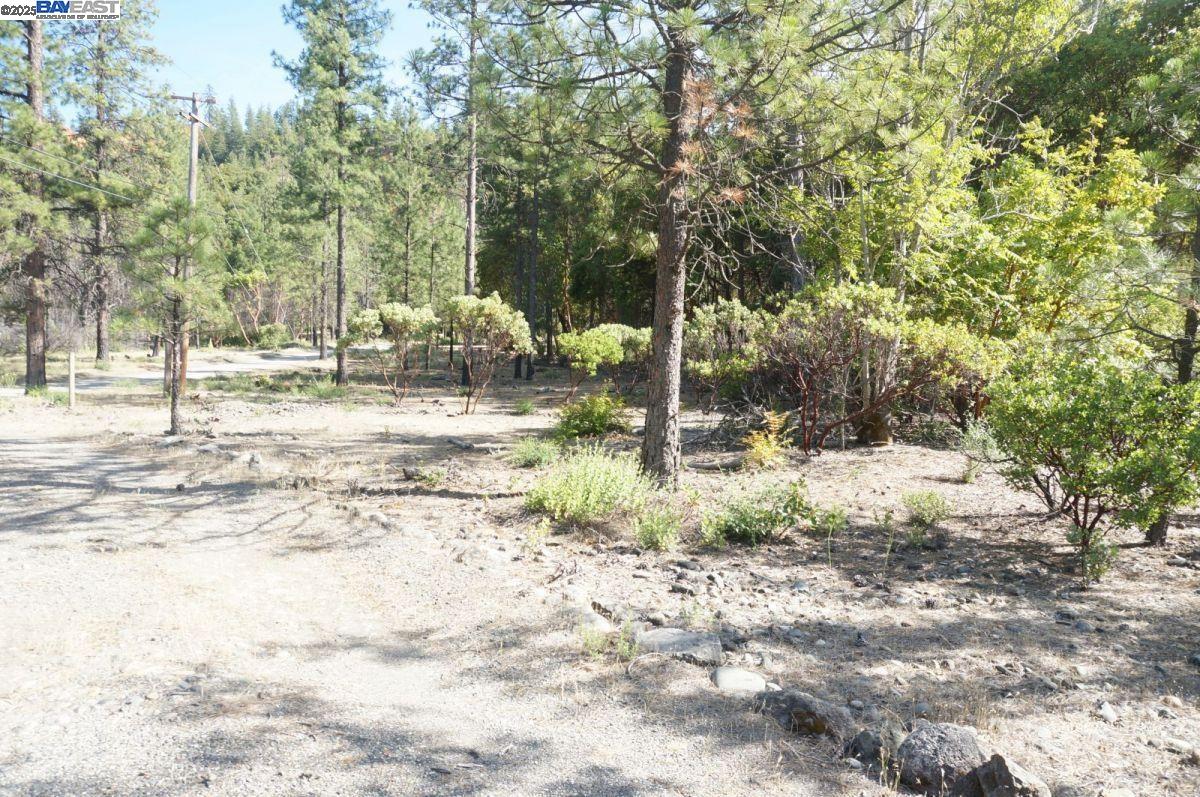 101 River Acres, Junction City CA 96048 — photo 17