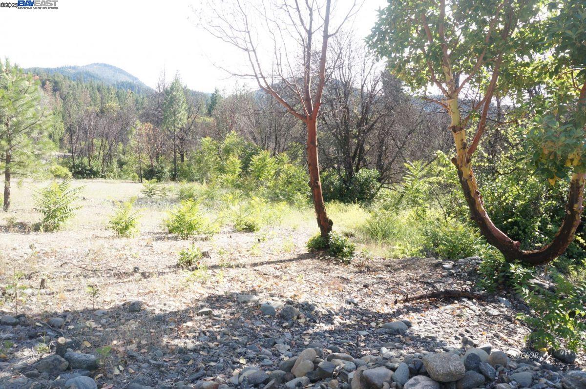 101 River Acres, Junction City CA 96048 — photo 22