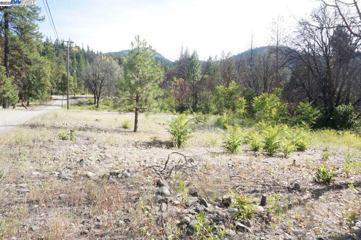 101 River Acres, Junction City CA 96048 — photo 24
