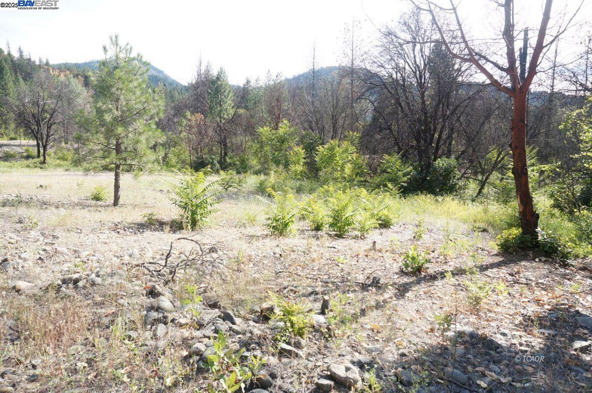 101 River Acres, Junction City CA 96048 — photo 25