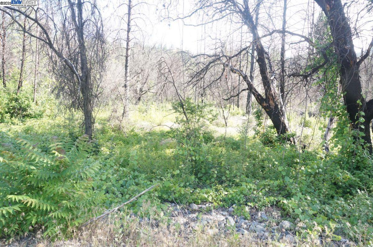 101 River Acres, Junction City CA 96048 — photo 27
