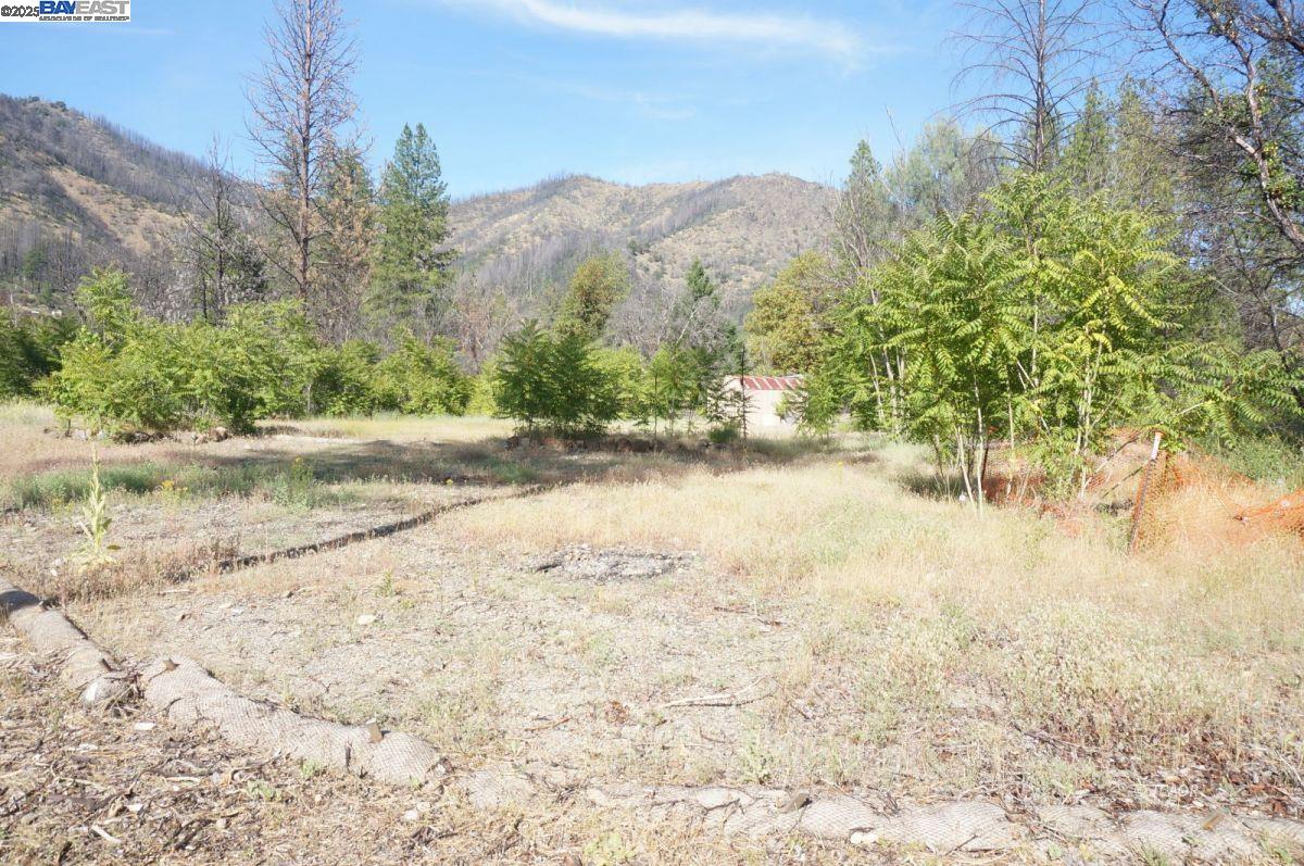 101 River Acres, Junction City CA 96048 — photo 6