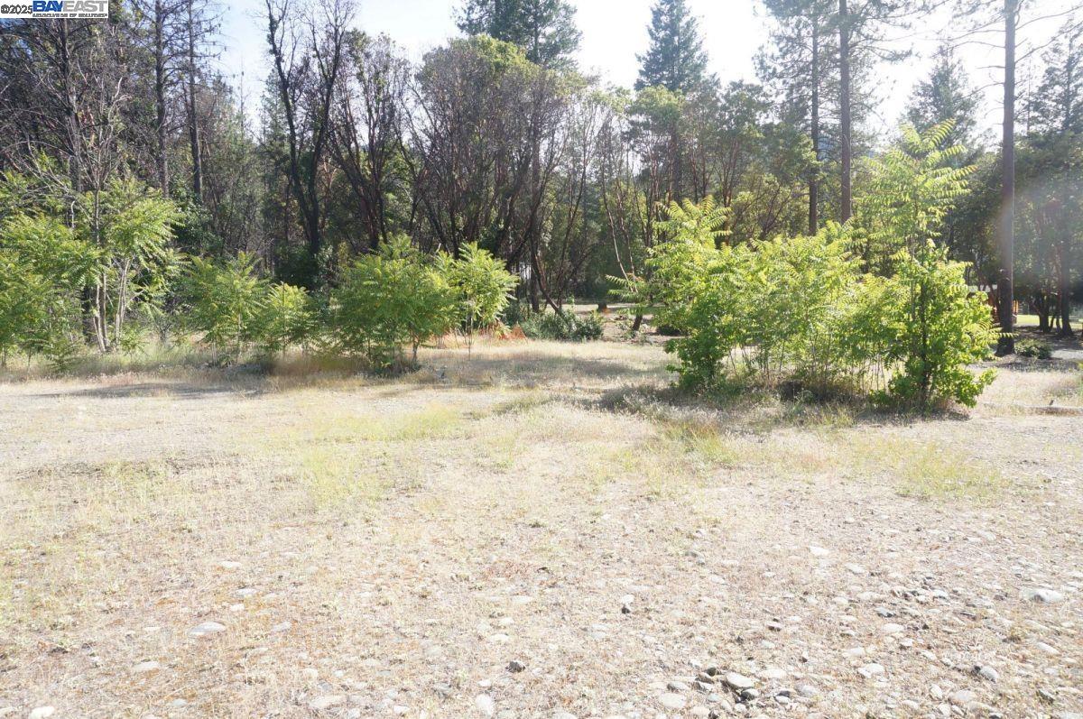 101 River Acres, Junction City CA 96048 — photo 9