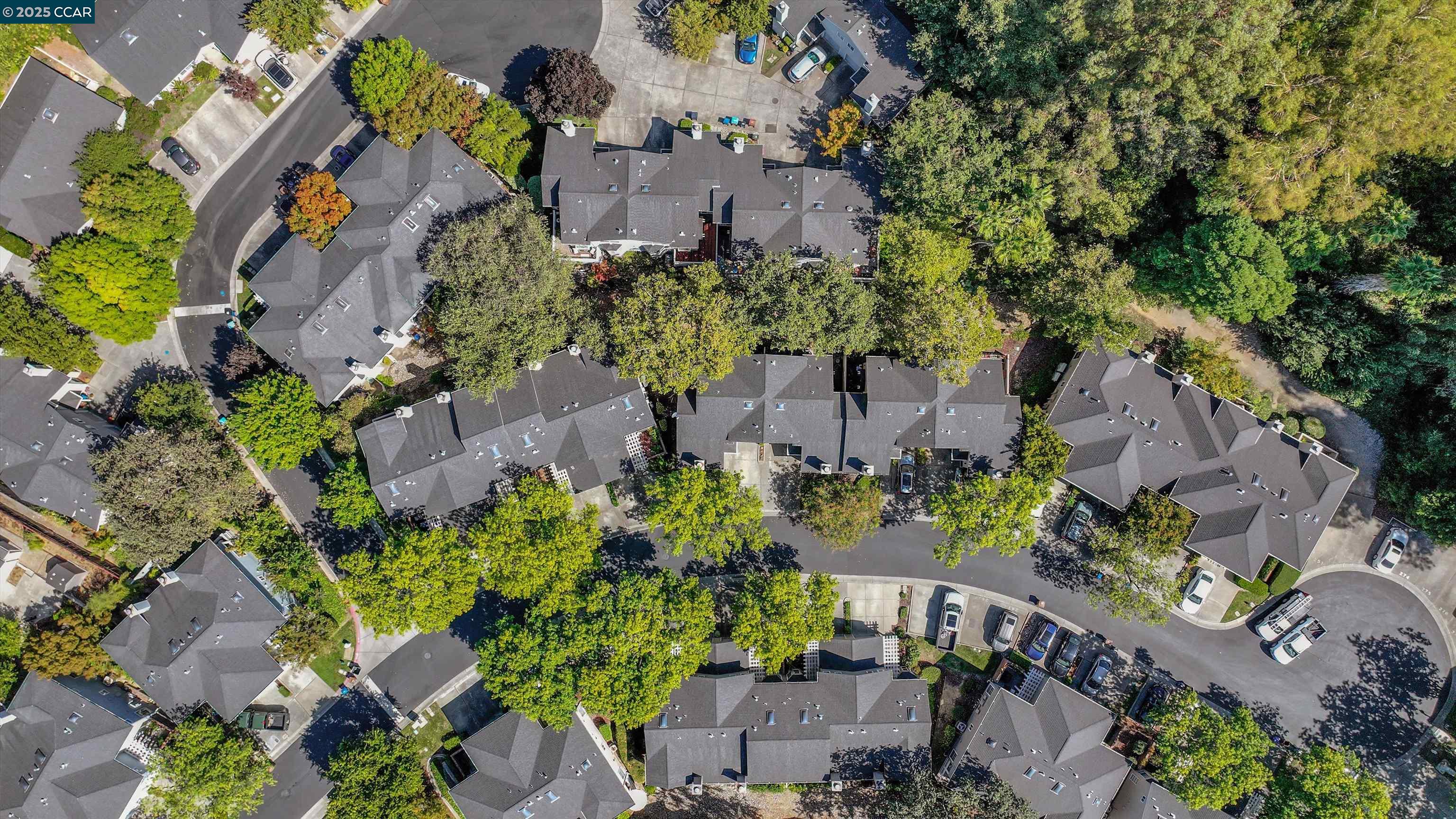 Photo #41: 41111767 Listing: Photo #41