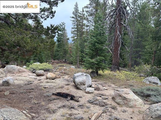 470 Civic Dr UNIT 105, Walnut Creek, CA, 94596