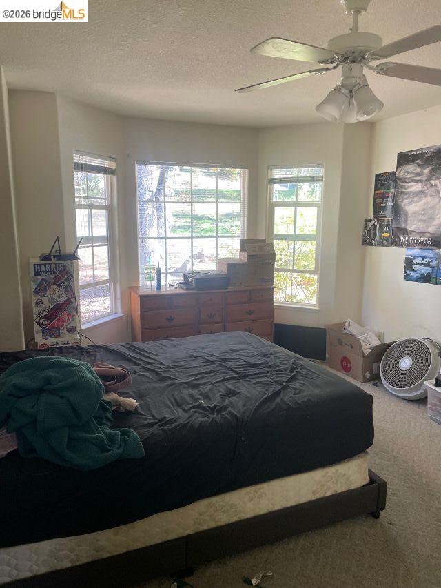 Detail Gallery Image 20 of 23 For 20252 Barbara Rd, Sonora,  CA 95370 - 3 Beds | 2/1 Baths