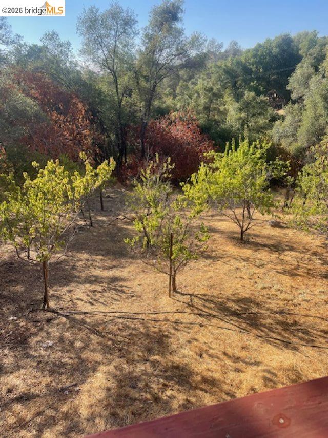 Detail Gallery Image 23 of 23 For 20252 Barbara Rd, Sonora,  CA 95370 - 3 Beds | 2/1 Baths