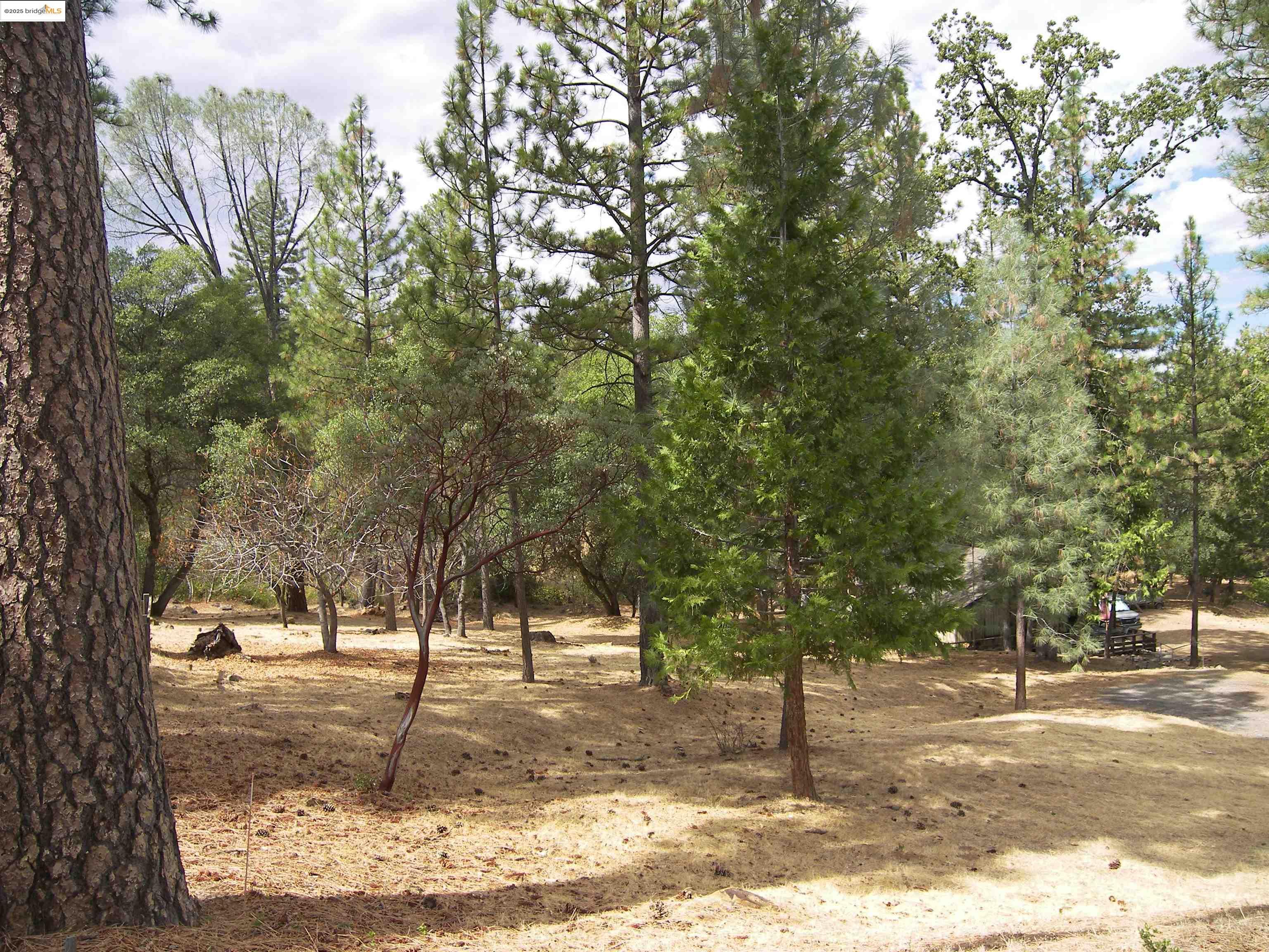 13024 Gamble St., Groveland CA 95321 — photo 41