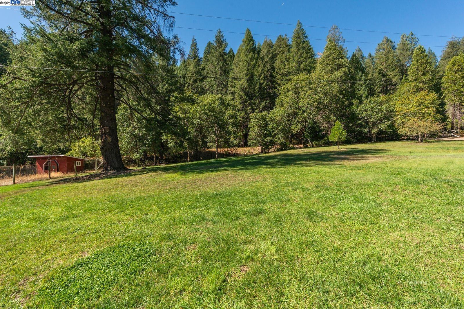 4481 Rush Creek Rd, Lewiston CA 96052 — photo 36