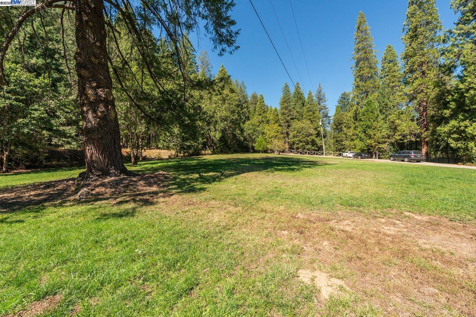 4481 Rush Creek Rd, Lewiston CA 96052 — photo 38