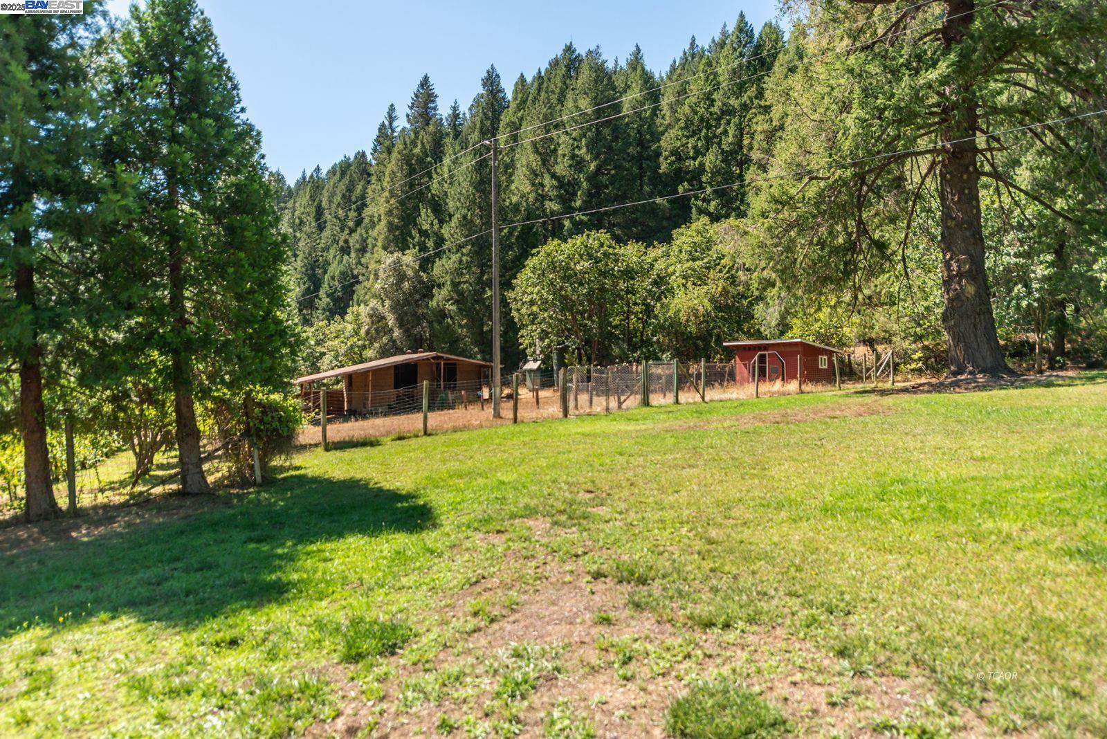 4481 Rush Creek Rd, Lewiston CA 96052 — photo 43