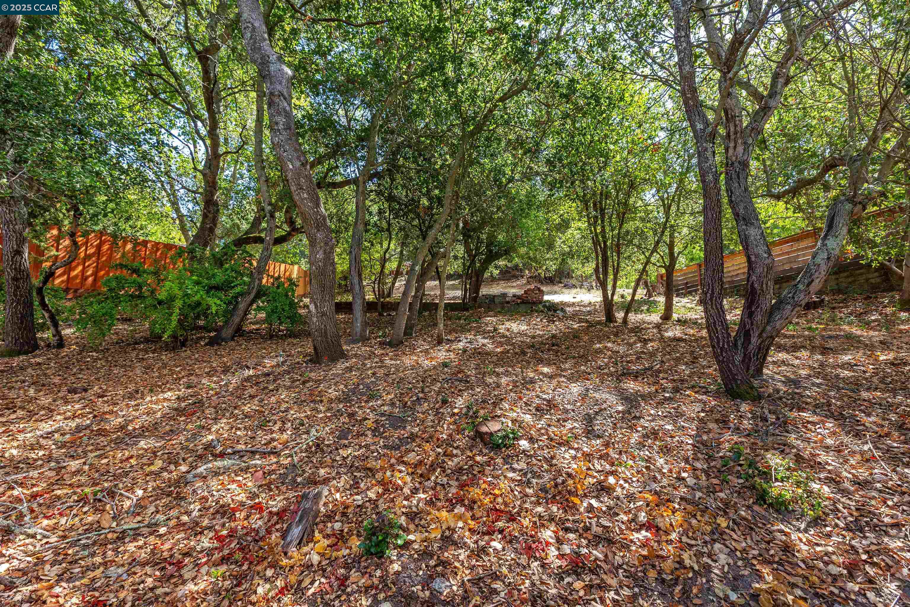 184 Glorietta Blvd, Orinda CA 94563 — photo 13