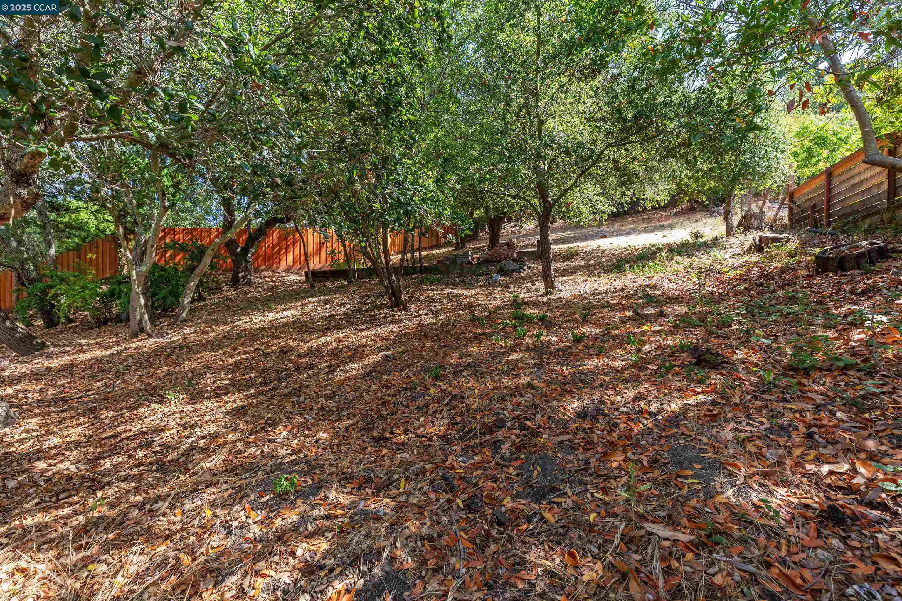 184 Glorietta Blvd, Orinda CA 94563 — photo 14