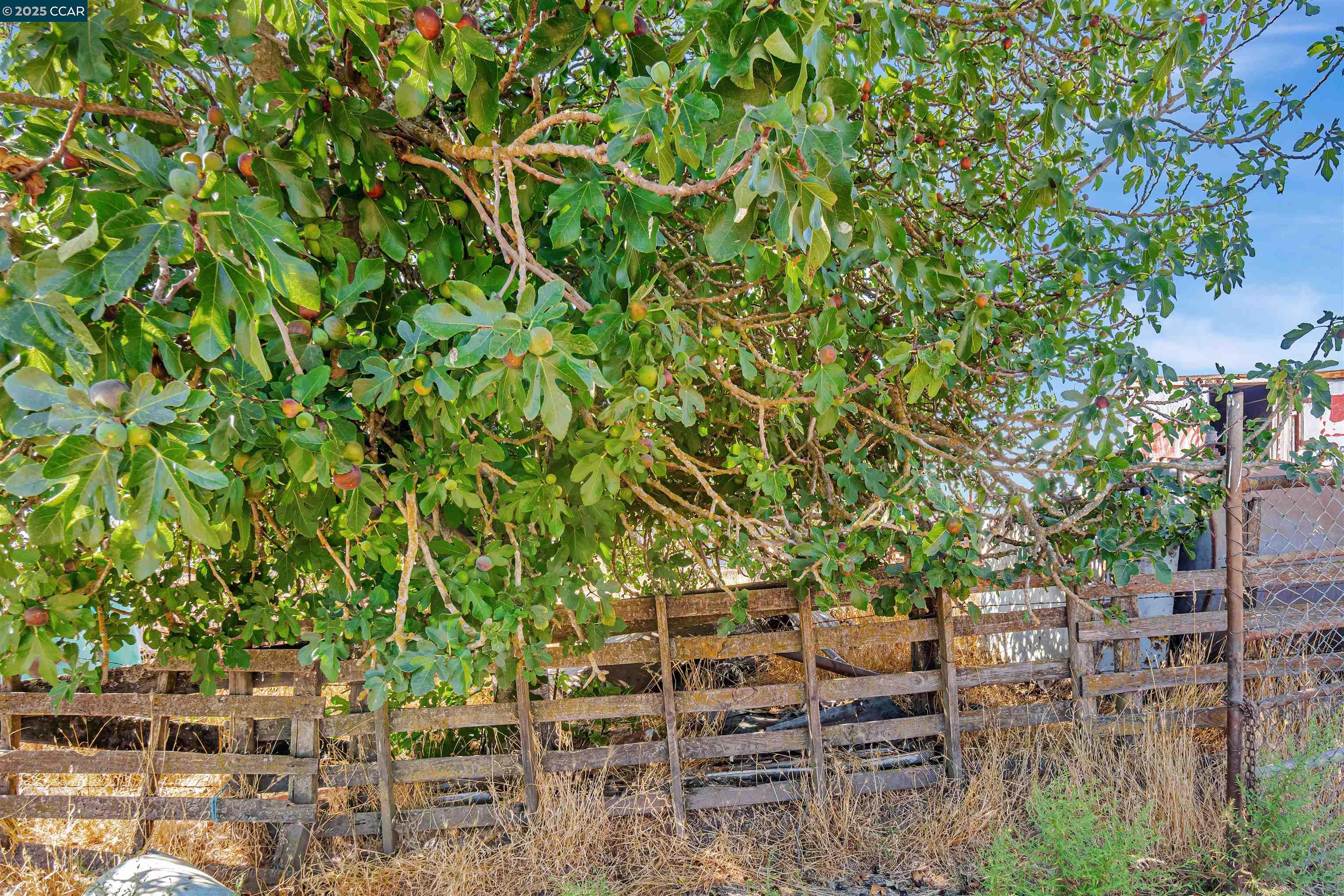 21200 Silva Road, Sonoma, CA, 95476