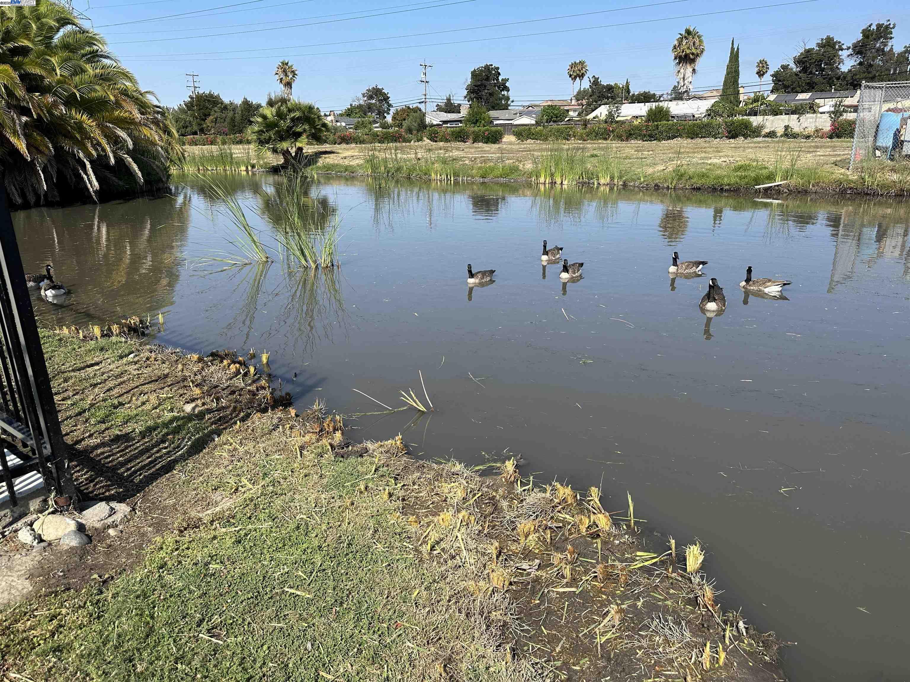 257 Manitoba Green, Fremont, CA, 94538