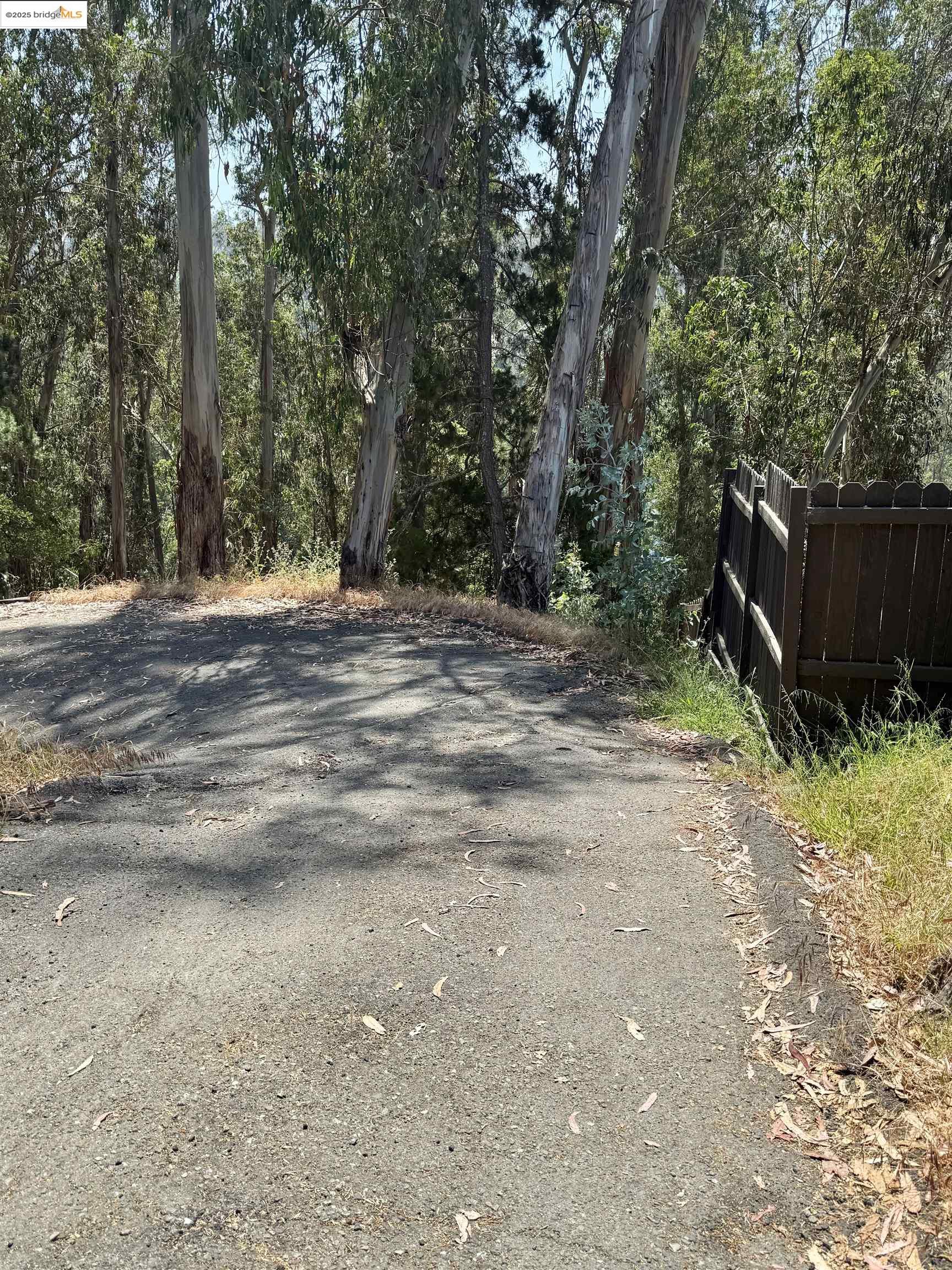 0000 Bartlett Way, Belmont, CA, 94002