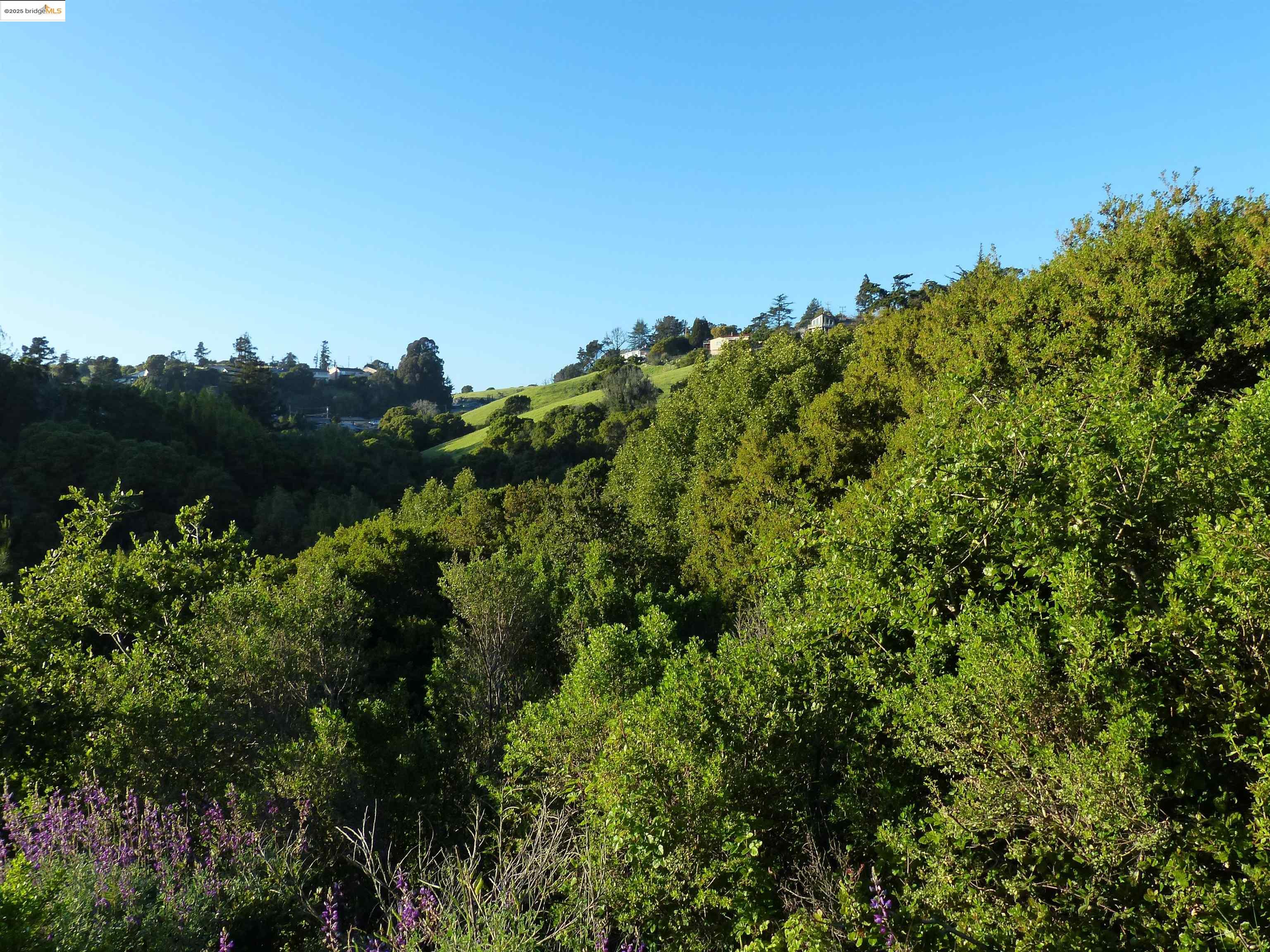 11275 Kerrigan Dr, Oakland CA 94605 — photo 9
