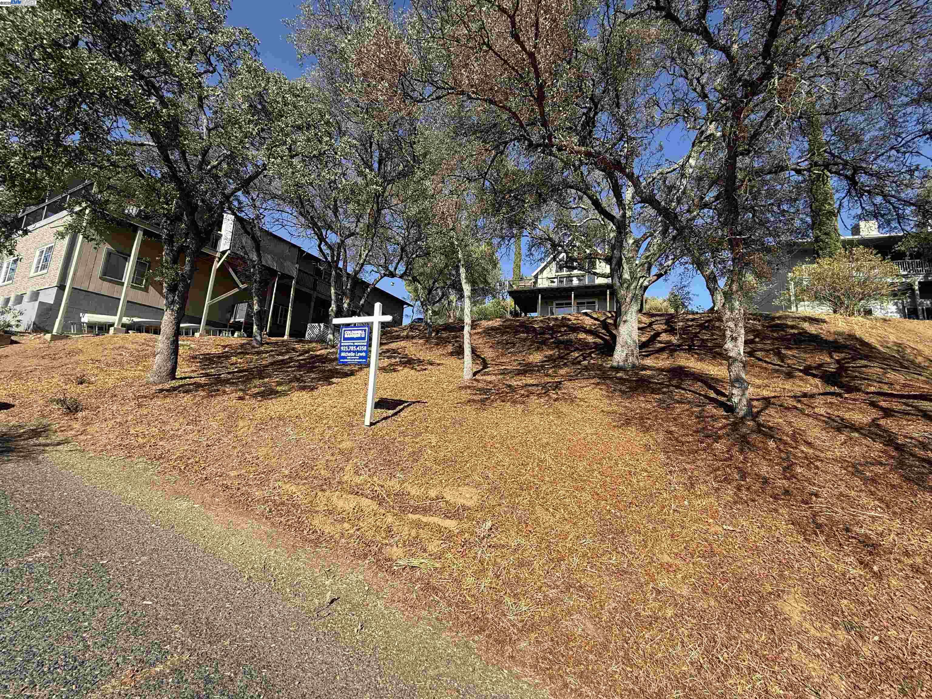 490 Bret Harte Dr, Copperopolis CA 95228 — photo 5