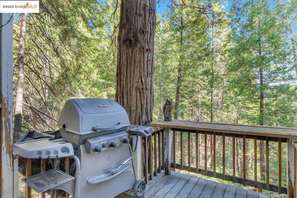 29289 Kern CT, Cold Springs CA 95335 — photo 30