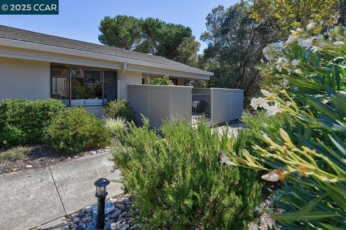 Front Image Thumbnail for CC41114079