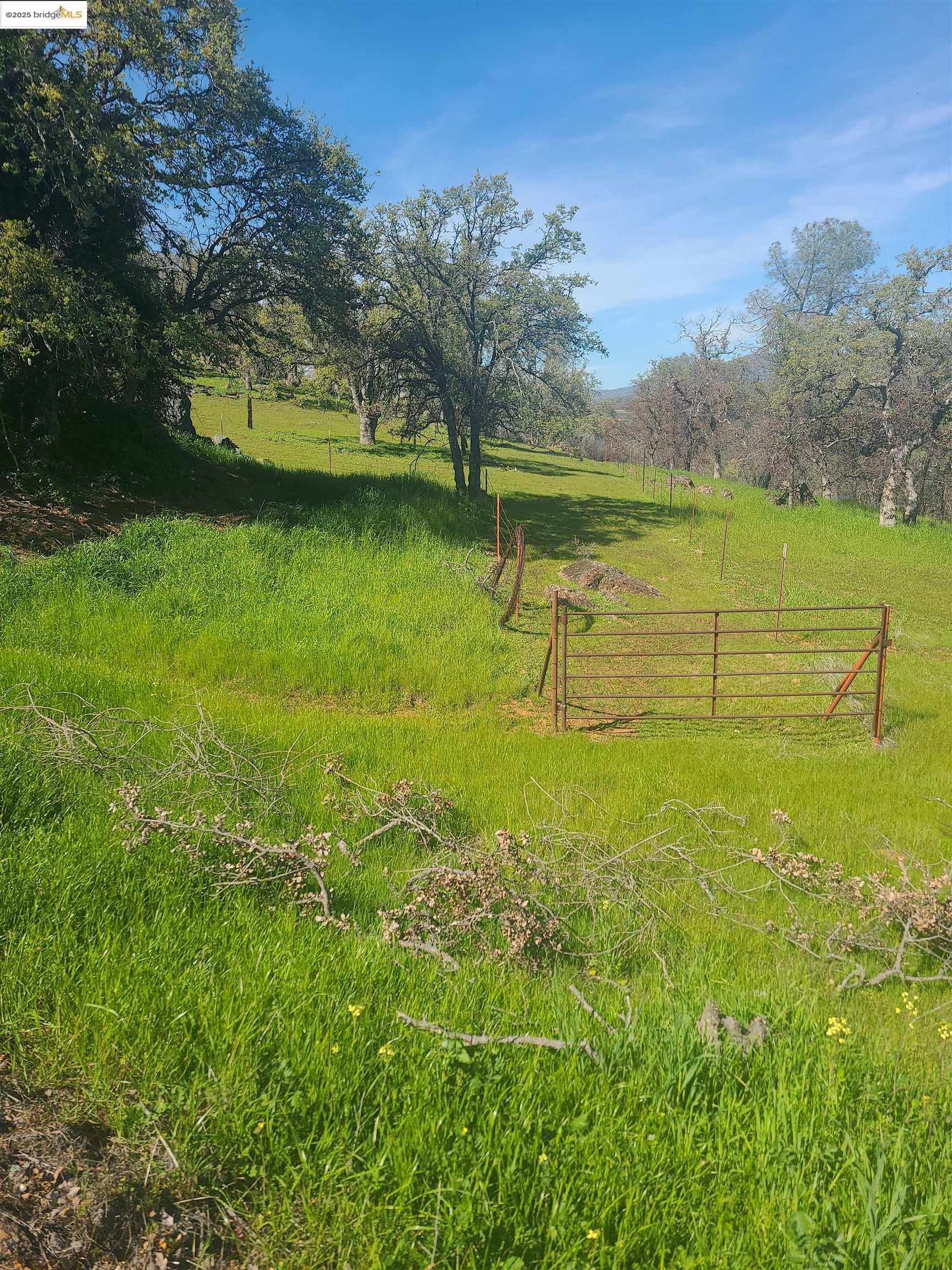 Front Image Thumbnail for EB41114682