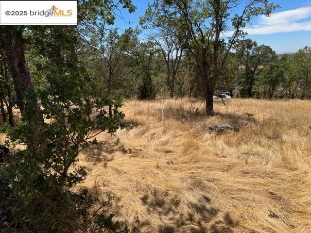 4088 Bartelink, Valley Springs CA 95252 — photo 5