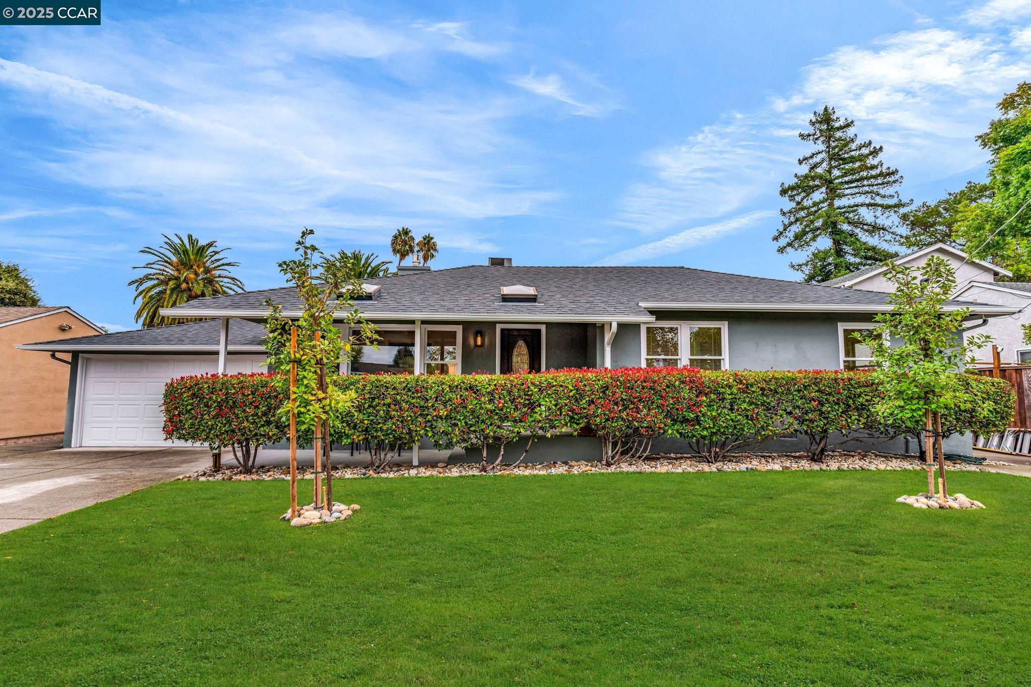 Front Image Thumbnail for CC41114904