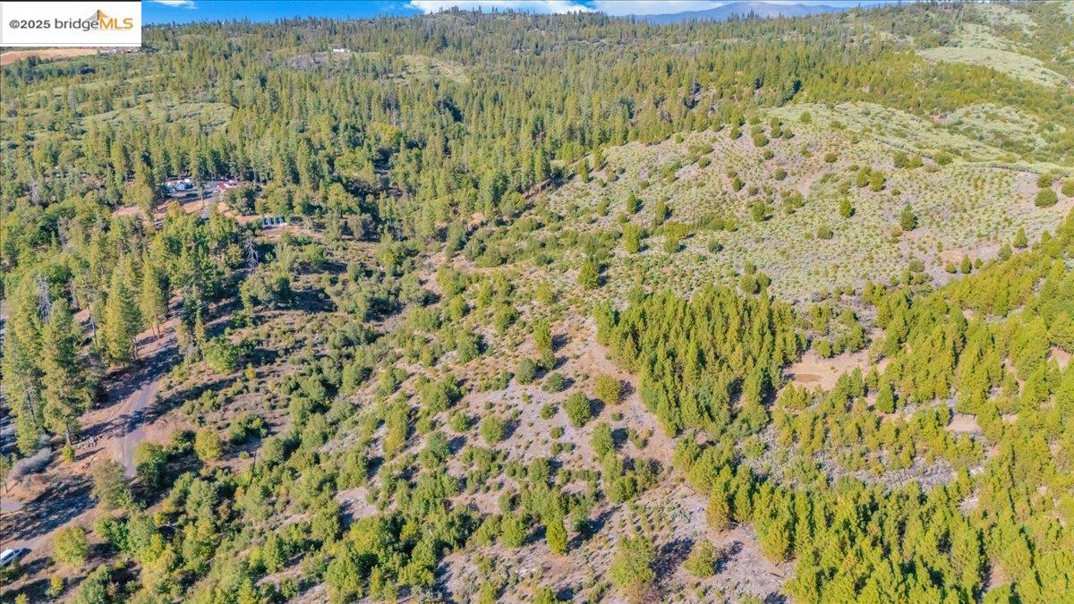 0000 Jackass Creek Rd, Groveland CA 95321 — photo 3