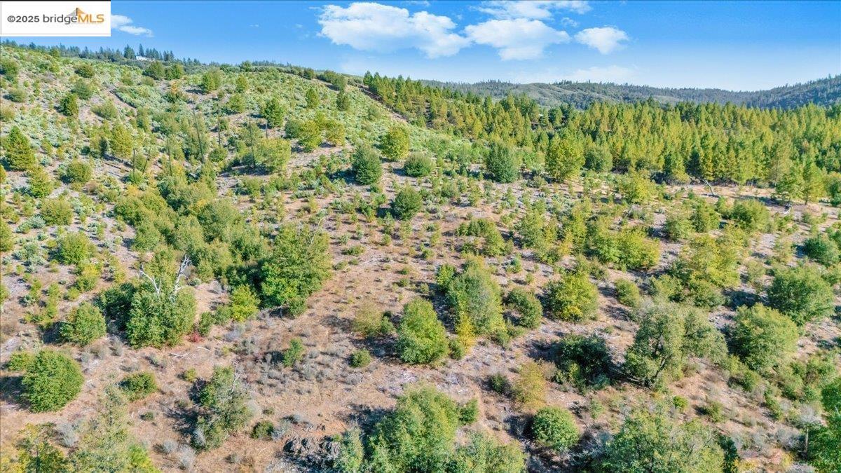 0000 Jackass Creek Rd, Groveland CA 95321 — photo 8