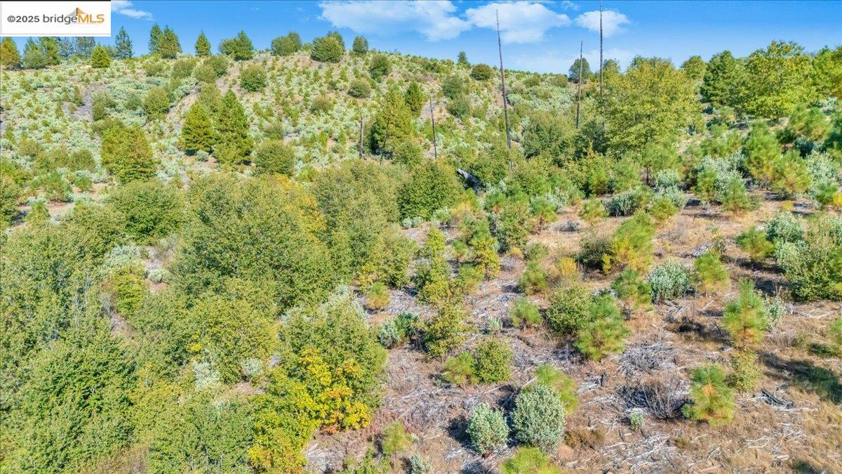 0000 Jackass Creek Rd, Groveland CA 95321 — photo 9