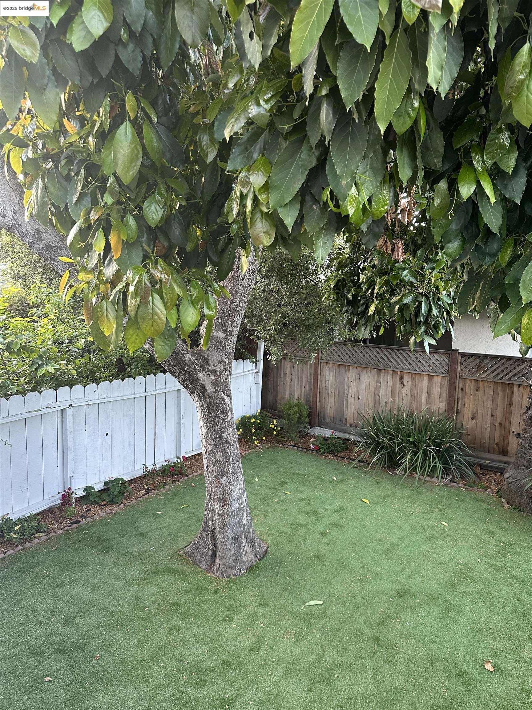 2628 School  St, Oakland CA 94602 — photo 32