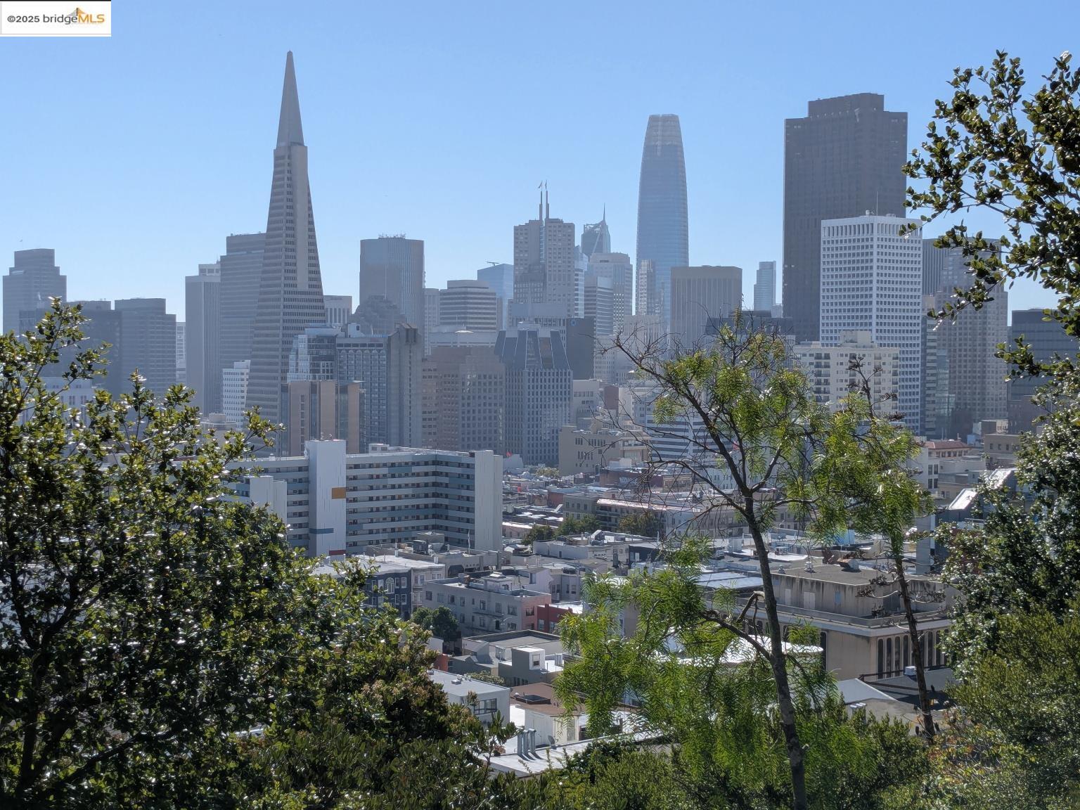 45 Auburn Street, San Francisco, CA, 94133