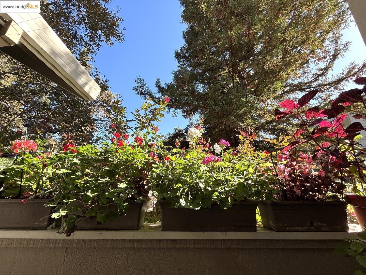 Detail Gallery Image 31 of 52 For 2561 Yerba Bank Ct #0,  San Jose,  CA 95121 - 3 Beds | 2 Baths