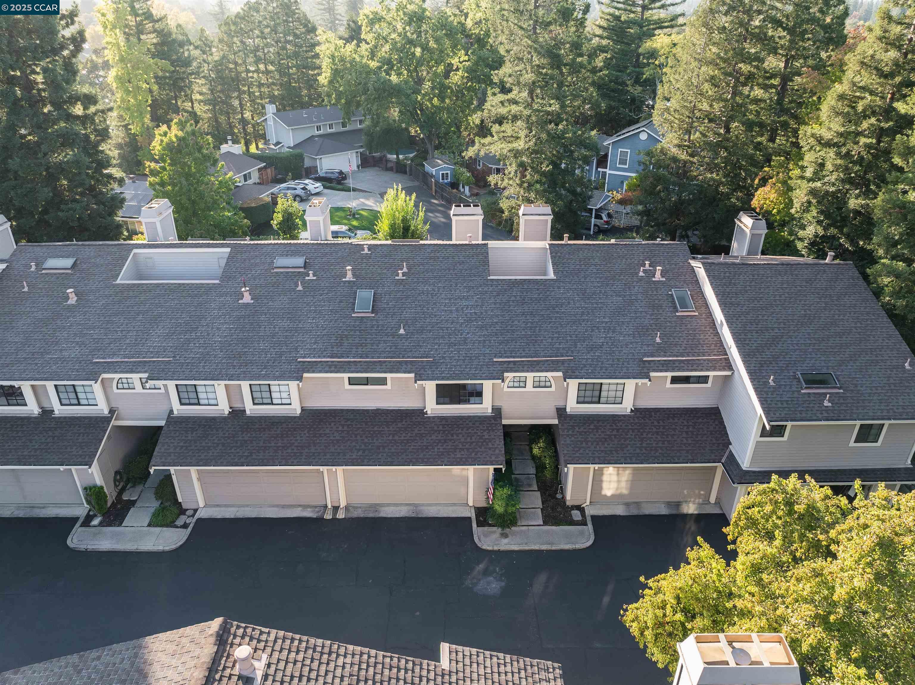 Photo #38: 41116099 Listing: Photo #38