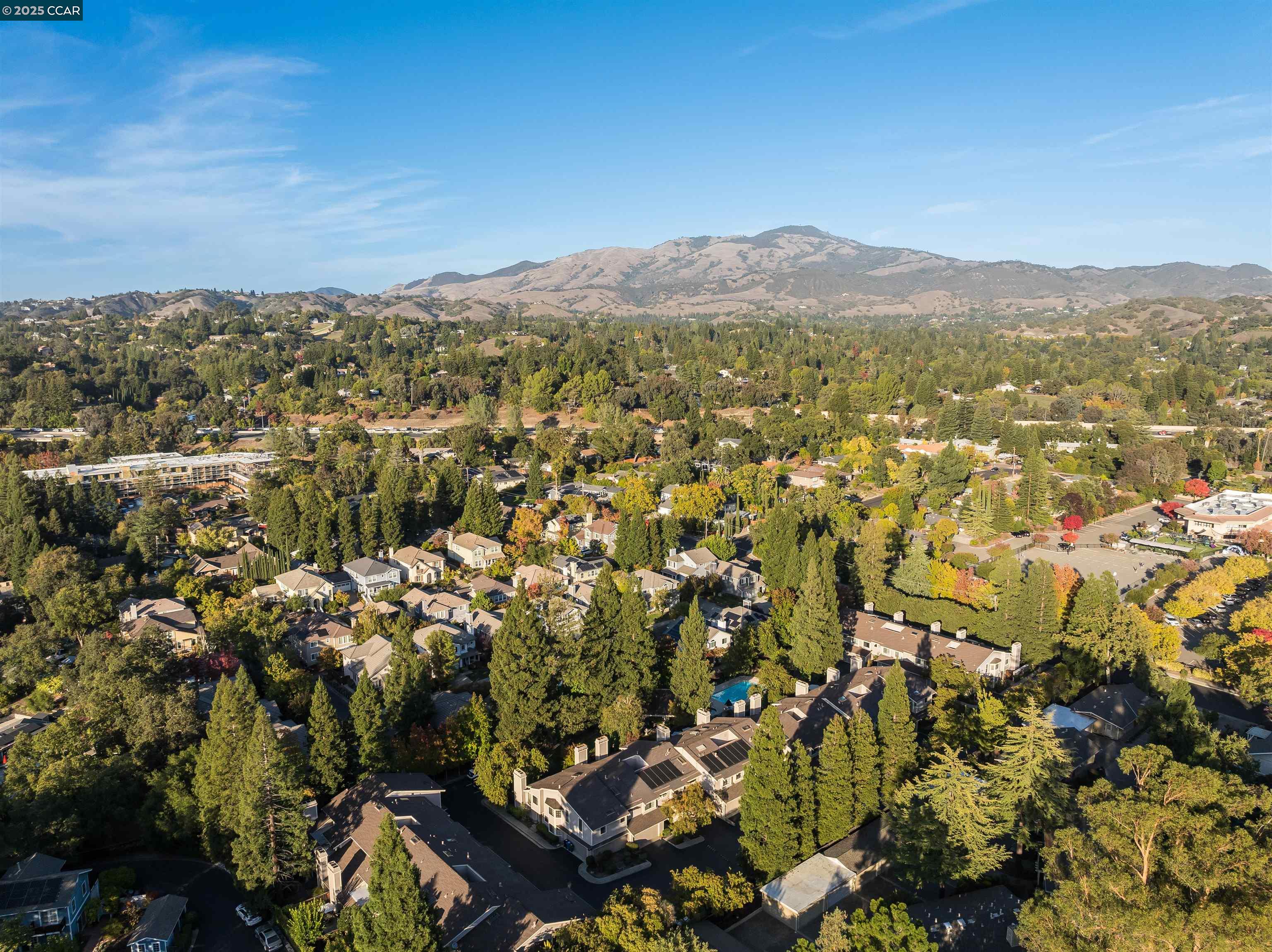 Photo #42: 41116099 Listing: Photo #42