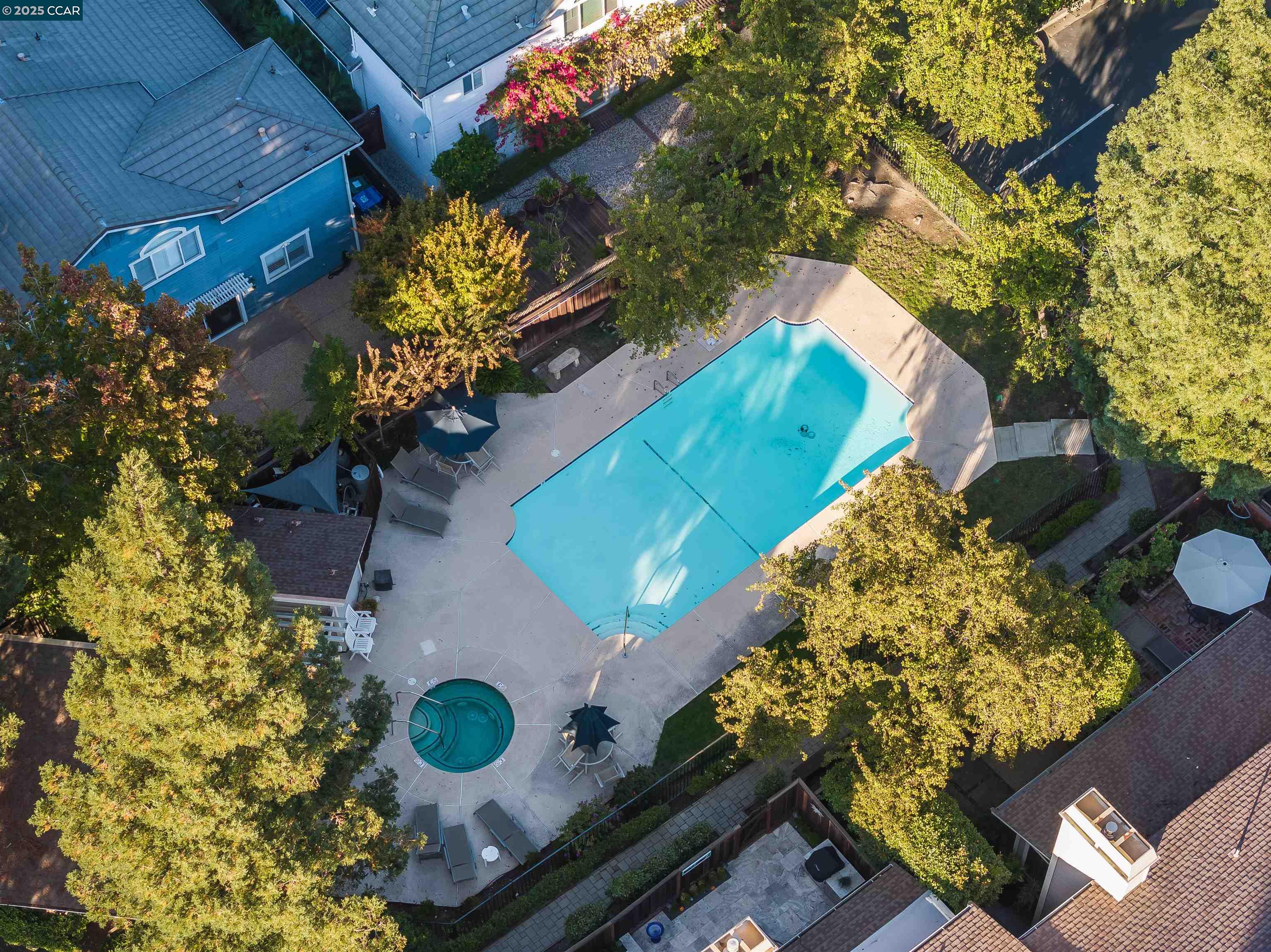 Photo #43: 41116099 Listing: Photo #43