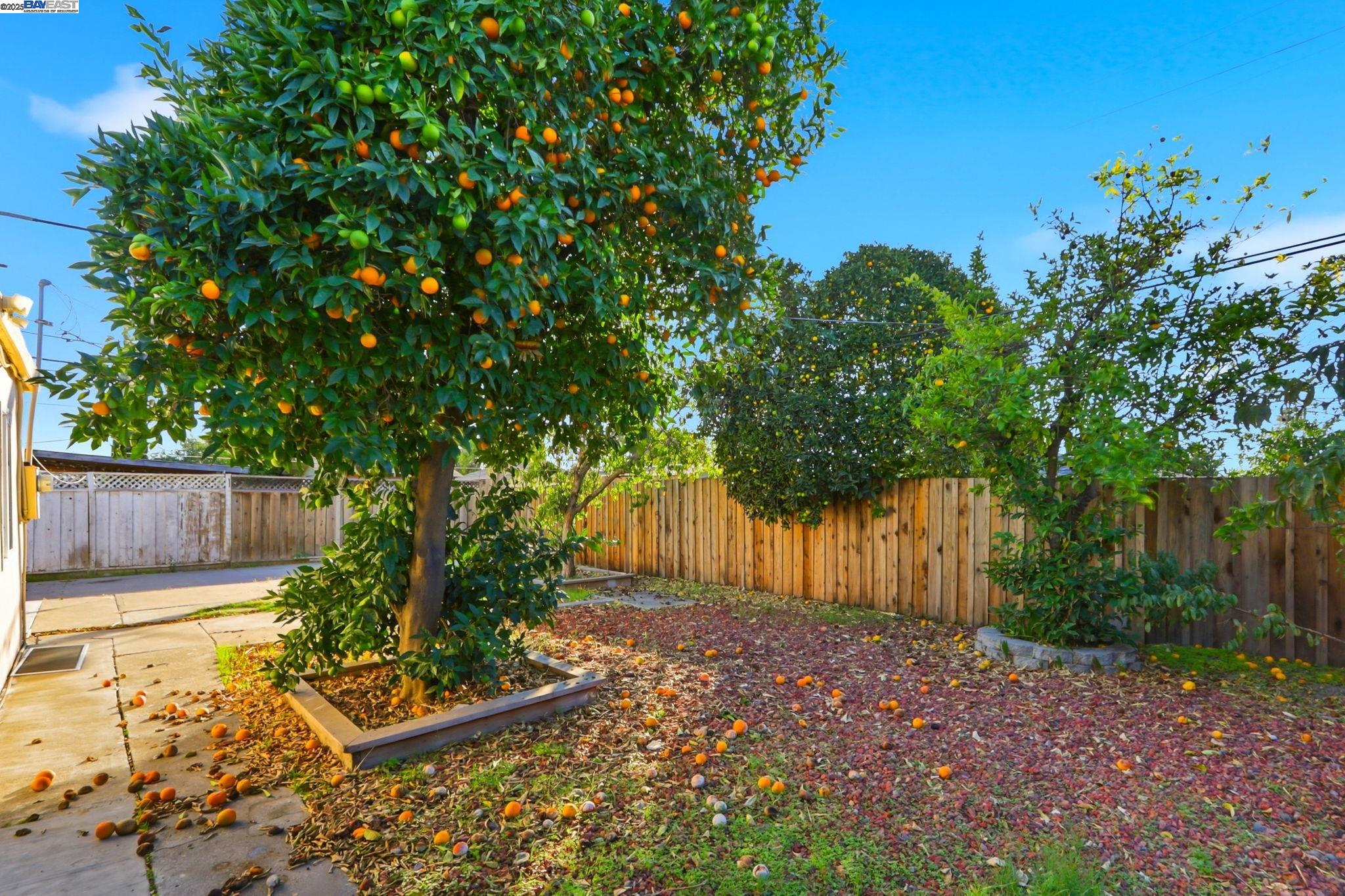 Detail Gallery Image 29 of 30 For 10311 Ryan Street, San Jose,  CA 95127 - 4 Beds | 2 Baths