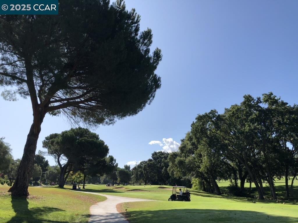 Photo #39: 41116308 Listing: Photo #39