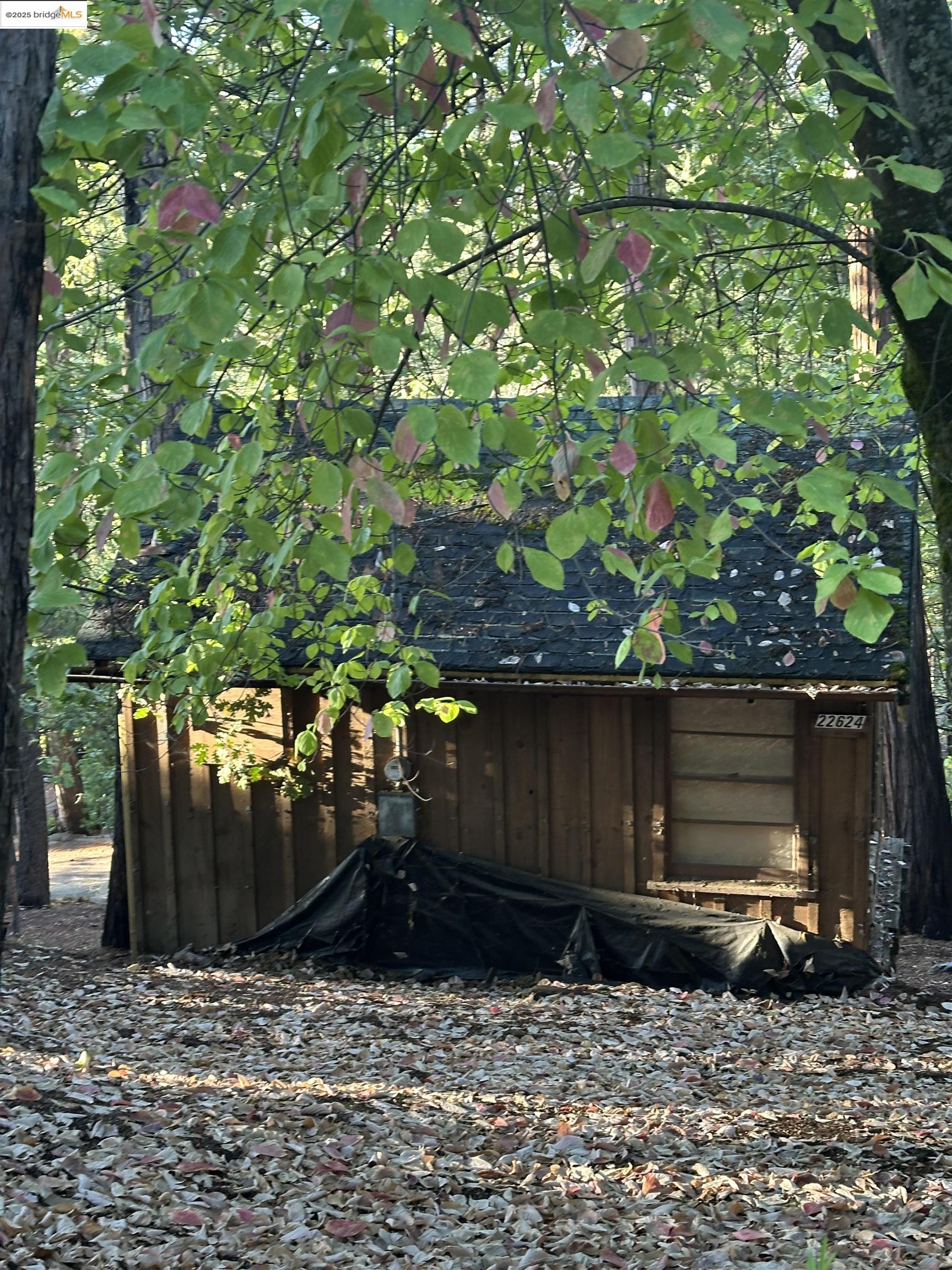 Front Image Thumbnail for EB41116397