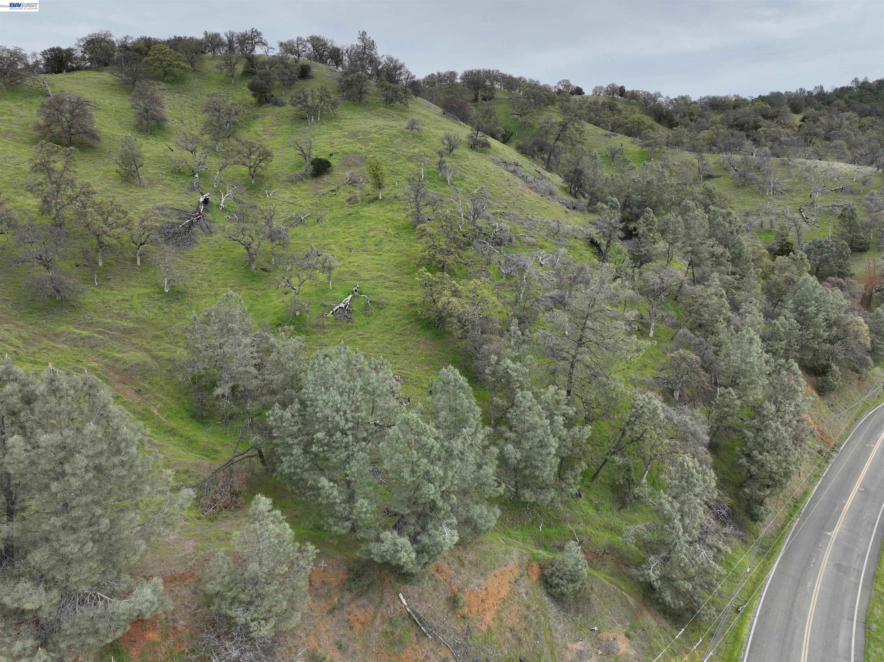 Detail Gallery Image 11 of 41 For 11130 Lakeshore Dr, Clearlake,  CA 95424 - – Beds | – Baths