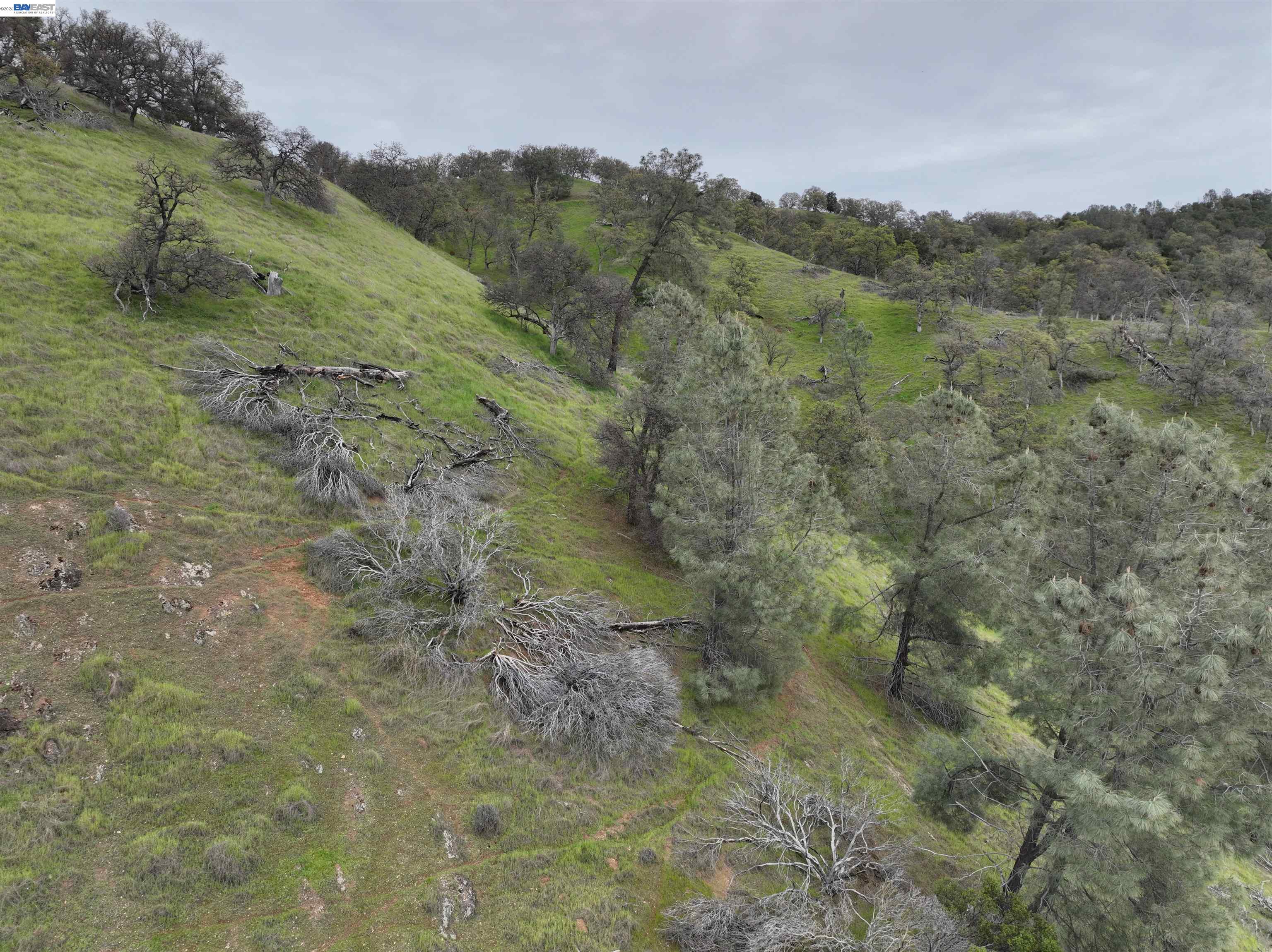 Detail Gallery Image 17 of 41 For 11130 Lakeshore Dr, Clearlake,  CA 95424 - – Beds | – Baths